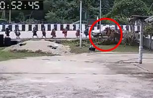 Masakra w Tajlandii. 11-latek spowodował wypadek. Nie żyje 8 mnichów