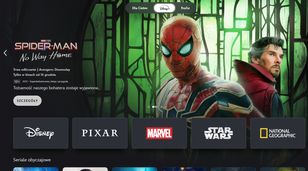 TVN Media będzie sprzedawać reklamy Disney+ w Polsce