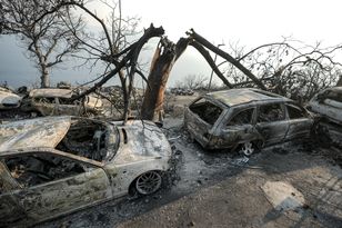 Four Polish nationals injured in Croatia wildfires — one in intensive care