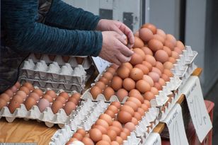 Brakuje jaj, ceny rosną. Co czeka nas przed Bożym Narodzeniem?