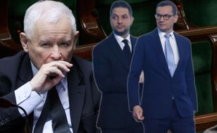 Wyścig o fotel premiera w PiS. Jeden zdecydowany lider, ale wyborcy szukają też "kogoś innego"
