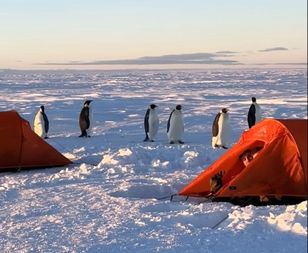 Pingwiny odwiedziły szkolących się pilotów. To była głośna poRocky III