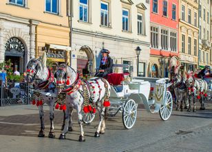 Krakowscy radni odrzucili likwidację dorożek — konie zostają na Rynku Głównym