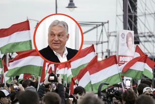 AfD komentuje przegraną Orbana. Jest reakcja