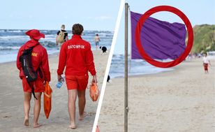 Purple beach flag warns of dangerous marine animals in the water