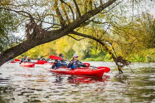 Wiosna znów będzie nasza! Startuje 8. edycja Operacji Czysta Rzeka