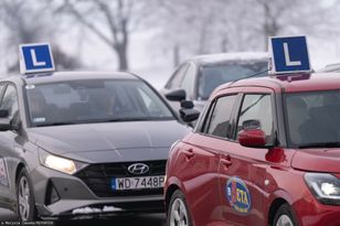 Prawo jazdy na nowo. System do modyfikacji