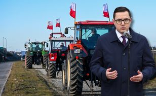 Rolnicy uderzają w PSL. Tak odpowiada im resort