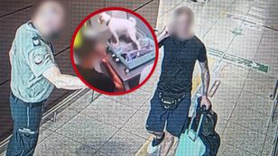 Zszokował lotnisko w Gdańsku. Niebywałe, co wykrył skan RTG