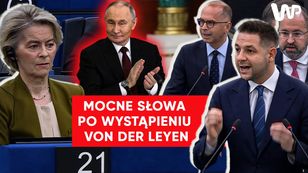 Mocny głos Polski w PE. "Gracie w orkiestrze Putina", "Ryzyko wojny"