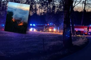 Pożar lasu w Czechach. Strażacy ogłosili nadzwyczajny stan alarmu