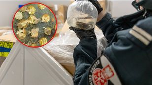 Przyłapani na Lotnisku Chopina. 1,5 tony skarbów z Indonezji zatrzymane