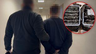 Odkrycie w piwnicy na Mokotowie. Policjanci nagrali, co znaleźli