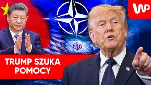 Problemy z Cieśniną Ormuz. Trump ostrzega NATO. "Słabe przywództwo"