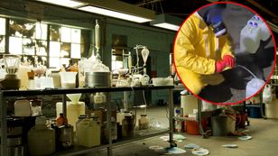 Weszli do stadniny koni. Szokujące odkrycie na Śląsku