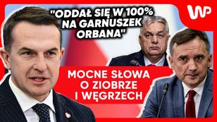 Azyl dla Ziobry. Rzecznik rządu bez litości: Stał się pośmiewiskiem