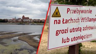 Wisła w Toruniu wysycha — poziom wody bliski zeszłorocznego rekordu