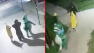 Żaba, goryl i banan na ulicach Włodawy — burmistrz pokazał nagranie