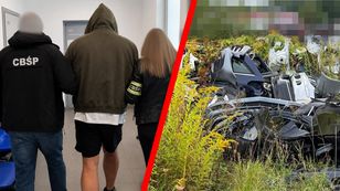 Tak mieli zarobić miliony. Kradli auta i rozkładali je na części