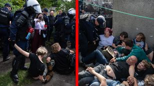 Sceny w Poznaniu. Policja starła się z protestującymi. Nagranie