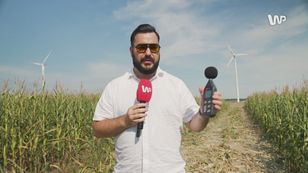 "Niech cała Polska wie". Zmierzyliśmy głośność wiatraków