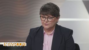 "Wycisnąć jak cytrynę program SAFE". Ekspert o strategii Polski