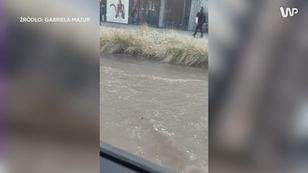 Wielka awaria we Wrocławiu, ulica całkowicie zalana. Mamy nagranie