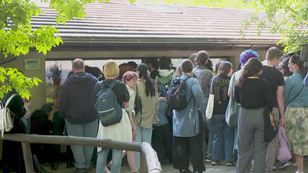 Najstarszy żyjący pod opieką człowieka mrówkojad jest w Polsce