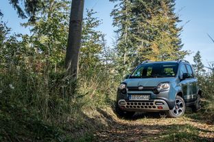 Fiat Albea 1 Generacji - Dane Techniczne, Spalanie, Opinie, Cena | Autokult.pl