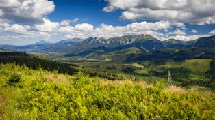 Magura Witowska: zachwycający punkt widokowy na Tatry