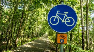 Żelazny Szlak Rowerowy – odkryj najpiękniejszą trasę pogranicza Polski i Czech