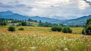 Łatwy spacer z panoramą Tatr: Bachledzki Wierch i Antałówka