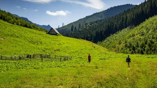 Tatry w szczycie sezonu bez tłumów? Urokliwa Dolina Lejowa [zdjęcia]