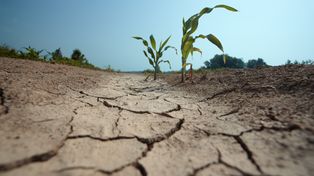 AI "wypije" naszą wodę? ONZ ostrzega przed groźnym scenariuszem