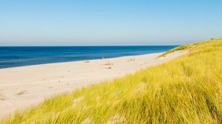 TOP 5 dzikich plaż nad Bałtykiem – bez tłumów, hałasu i parawanów