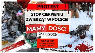 Protest "STOP cierpieniu zwierząt". Rusza Marsz Wyzwolenia Zwierząt w Polsce