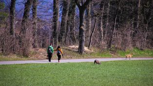 Przyjdź, poznaj, adoptuj. Wyjątkowy spacer w Płocku