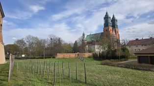 Ostrów Tumski jakiego nie znasz. Historyczny spacer śladami władzy i konfliktów