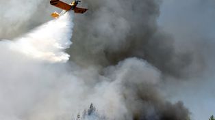 Wysokie zagrożenie pożarowe w lasach. Apel o rozwagę przed majówką
