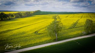 Gmina Szydłowo: Na referendum poszło za mało osób. Decyzję o przyszłości podejmą władze