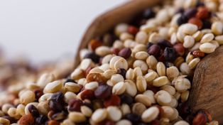 Komosanka na kolację – ciepła miska pełna energii