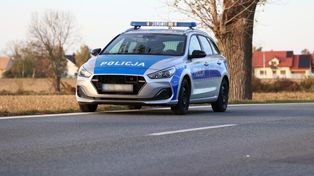Nietypowy wypadek w Chmielniku. Sarna wbiegła pod auto, ucierpiał rowerzysta