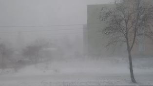 Przymrozki w Płocku i powiecie płockim – ostrzeżenie IMGW!