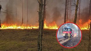 Pożar lasu w Biernatowie. Spłonęło 18 hektarów