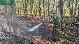 Cztery pożary w dwa tygodnie. Alarm w Nadleśnictwie Łąck