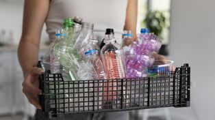 Skąd się wziął system kaucyjny? Prawniczka wyjaśnia!