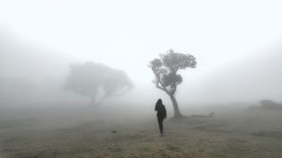 Las Fanal na Maderze. To miejsce wygląda jak z horroru