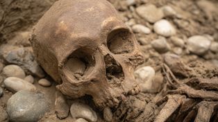 "D’Artagnan odnaleziony po 350 latach? Sensacyjne odkrycie pod holenderskim kościołem"