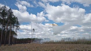 Pożar lasu w Brzeźnicy. W akcji samoloty gaśnicze