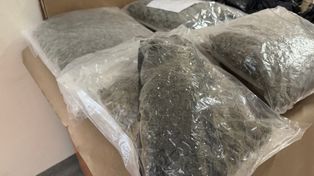 "Praski doktor" zatrzymany. Narkotyki warte setki tysięcy nie trafiły na ulice Warszawy